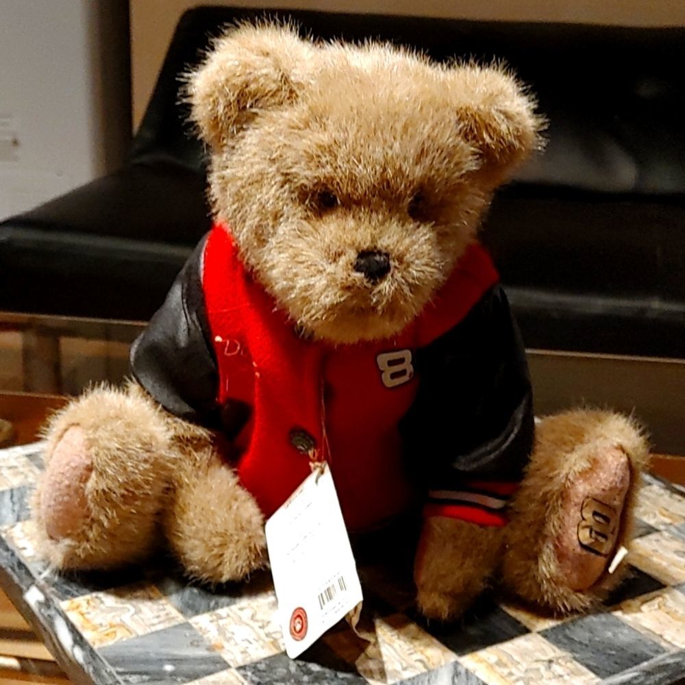 Nascar #8 Dale Earnhardt Jr Boyd bear